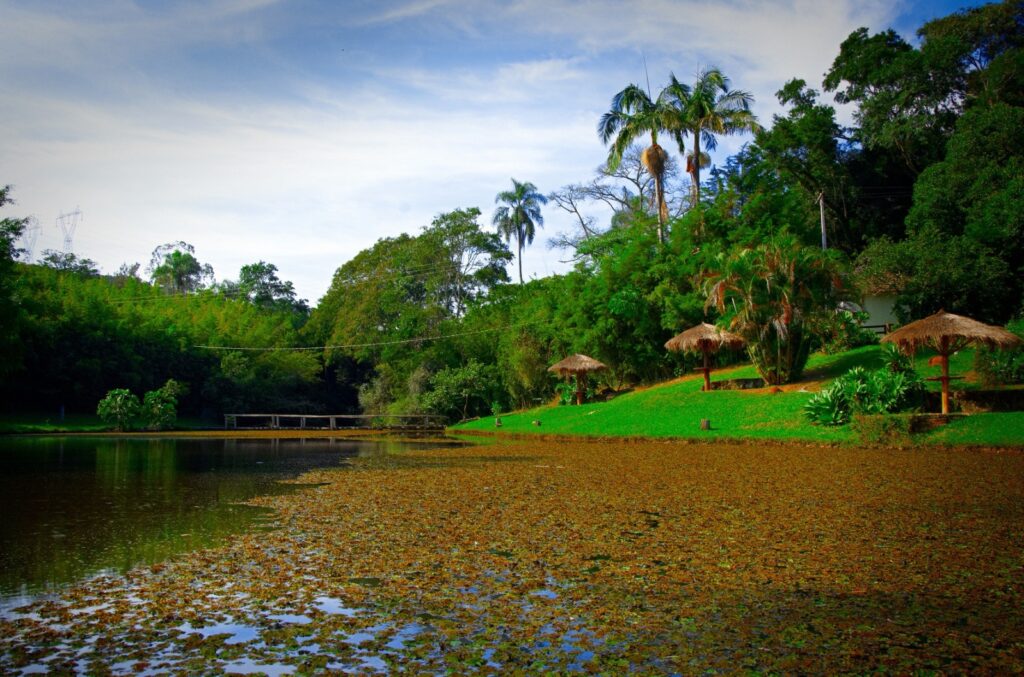 Crédito: Elias Gomes | Setur-SP