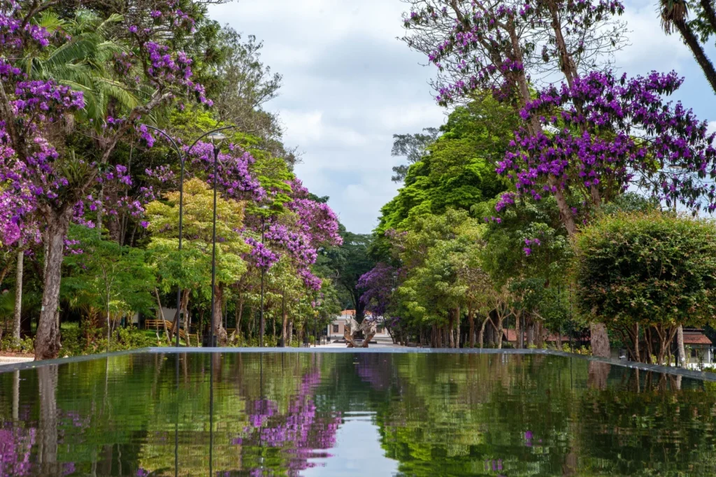 Dia das Crianças no Instituto Butantan: Diversão e Aprendizado Crédito: Parque da Ciência, do Instituto Butantan. Foto: Divulgação